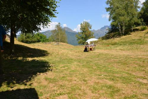 DSC 1169